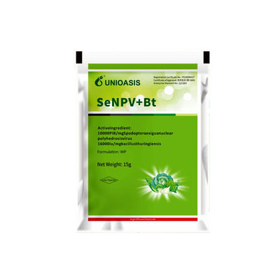 Organic Certified Biological Insecticide for Spodoptera Exigua Control with Long-lasting Effect