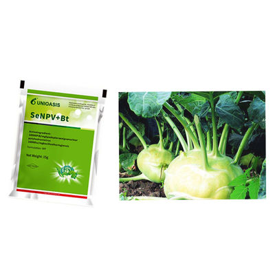 Microbial Insecticide with 10000 PIB/mg SeNPV and 16000IU/mg Bacillus Thuringiensis for Organic No Residue Pest Control