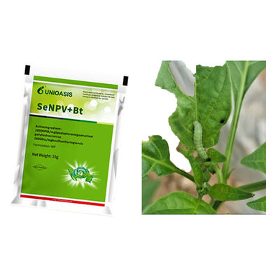 Microbial Insecticide with 10000 PIB/mg SeNPV and 16000IU/mg Bacillus Thuringiensis for Organic No Residue Pest Control