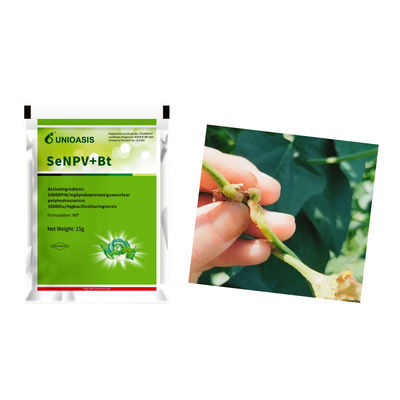 Organic Pesticide with 10000 PIB/mg SeNPV+16000IU/mg Bt for Beet Army Worm Control - Certified Biological Insecticide