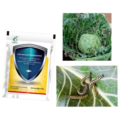Eco-friendly PrGV+Bt Biological Insecticide with 10000 PIB/mg PrGV+16000IU/mg Bt for Effective Corn Borer Control
