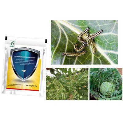 Eco-friendly Biological Pesticide PrGV Plus Bt with 10000 PIB/mg PrGV+16000IU/mg Bt for No Pesticide Residue Vegetable Protection