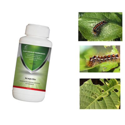 Organic Certified EoNPV Biological Insecticide for Tea Plants with Long-lasting Effect and Resistance Management