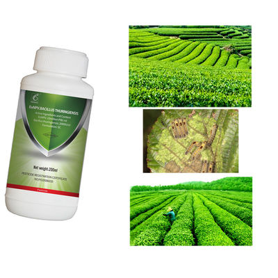 Organic Certified EoNPV Bacillus Thuringiensis Spray with 10 Million PIB/mg for Resistance Management in Tea Plants