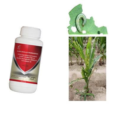 Biological Pesticide Organic Pesticide with 10 million PIB/mL AcNPV + 2000IU/mL Bt No Residue Effective Against Spodoptera exigua