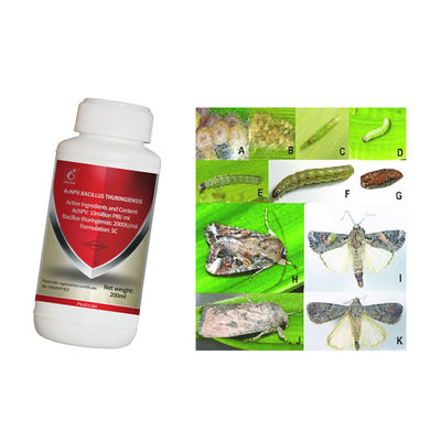 AcNPV Organic Biological Pesticide with Organic Certification No Residue for Brassicaceous Vegetables 10 million PIB/mL AcNPV + 2000IU/mL Bt