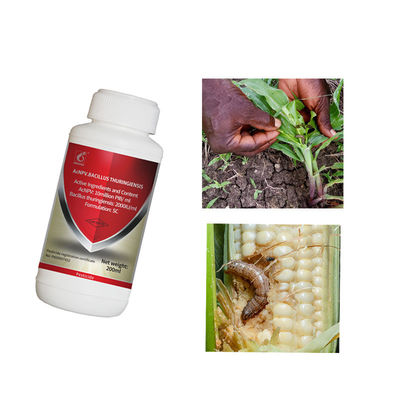 AcNPV SC Insecticide with Organic Certification and No Pesticide Residue for Brassicaceous Vegetables