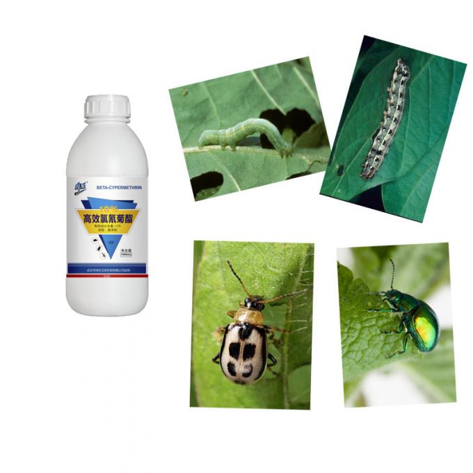 Strong Toxicity Fruit Tree Pesticides 10 Beta Cypermethrin Valerate SC