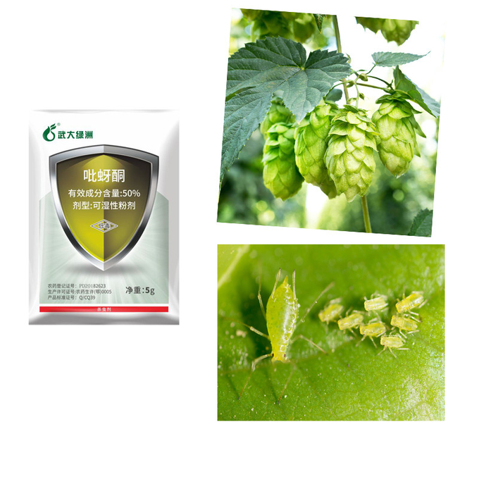 50 Pymetrozine WP Natural Vegetable Insecticide Kill Cabbage looper